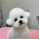 정관달 이미지