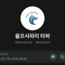 울프 - 중구 중구로24번길 12 | 🇪🇬 다합에서 타바, 타바에서 아카바 이동방법｜울프사파리 이용 후기와 고프로 반입