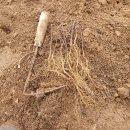 용진1농장 이미지