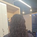 김찬 헤어