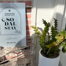 소달 | [경주 숙소 추천] 경주 책과 자연이 어우러진 힐링 독채 펜션 '소달의 서가' 후기 📚📖🏡