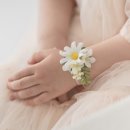 스튜디오라희