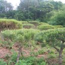 덕솔이네 이미지