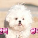 눈치 - 광산구 신창로138번길 23-2 | 눈치