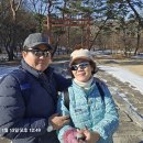 구리 동구릉(서경산악회)-20240113-01 이미지