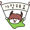 달봉이네애견 네이버블로그