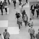 작은정원 이미지