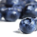 지니푸드 이미지