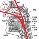 도서출판 두성
