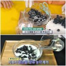 레드머스캣