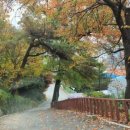 춘천세종관광호텔 이미지