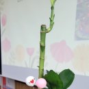 (하반기) 웰다잉 | [웰다잉 클래스 현장] 유언장·묘비명·테라리움… 삶을 돌아보는 감동 수업