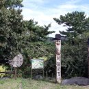 홍동면사무소앞 이미지