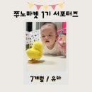 쭈노마켓 네이버블로그