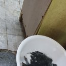 산바다회도매상 이미지
