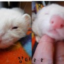 잠티 이미지