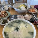 용고로민박