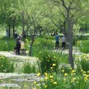 거창-거창-1 이미지