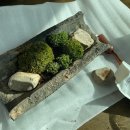 스튜디오콩테 이미지