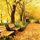 송정동-16 이미지