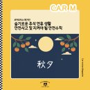 황금카모터스 이미지