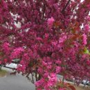 진산대로 이미지