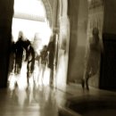 떠도는섬들 이미지