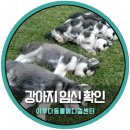 이루다 동물병원 이미지