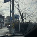 태극자동차공업사 | 진주 자동차번호판제작소 태극번호판 훼손 교체 후기(위치, 운영시간, 예약, 준비물, 가격, 설치)