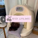 남양주 다이어트 바디관리 “스키니바디 토탈뷰티” 바이오포톤 체험 후기