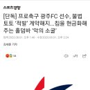 [단독] 프로축구 광주FC 선수, 불법 토토 ‘적발’ 계약해지...칩을 현금화해주는 홀덤바 ‘악의 소굴’ 이미지