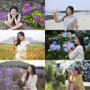 중문썬라이즈 호스텔 이미지