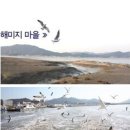 석모도해미지영농조합법인 이미지