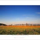 우륵문화마당 이미지