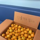씨유 동인천역 | 제가 이정현없는 11경기동안 10패를한 소노스카이거너스의 팬이라고요…?