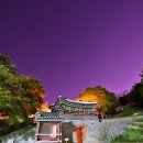 강화초등학교 이미지