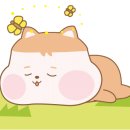 (주)국제신문