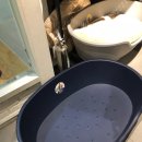 도무스 펫샵 이미지