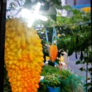 여주-0733 이미지