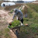 차씨네농장 이미지