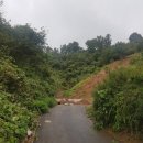 정부세종청사 옥상 정원길 이미지