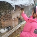 한터팜오토캠핑장 이미지