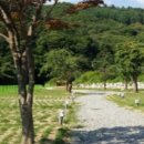 천사봉 오토 캠핑장 이미지