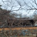 ＜영화 ‘똥개’ 속 똥개 터널과 월연정 월주月柱＞밀양 하면 꼭 가볼만 한 곳이 똥개터널이라고 해 똥개터널 보러 이미지