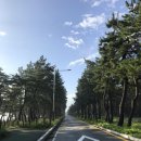 세븐일레븐사천점 이미지