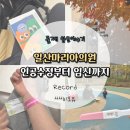 마리아내과의원 | Record [일산마리아의원] 둘째 인공수정 1차부터 임신 9주차 난임병원 졸업까지 기록'◡'✿ (난임부부...