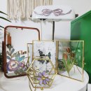 성북장애인자립생활센터 이미지