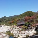 거연정 Daum카페