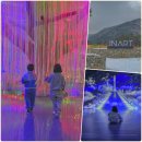 동양카마트 | 평창 이나트 뮤지엄 근처 맛집 강원도 실내 가볼만한곳 할인 까지