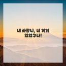 대전365센텀치과 | 내 속을 썩이던 너! 드디어 사랑니 발치 후기